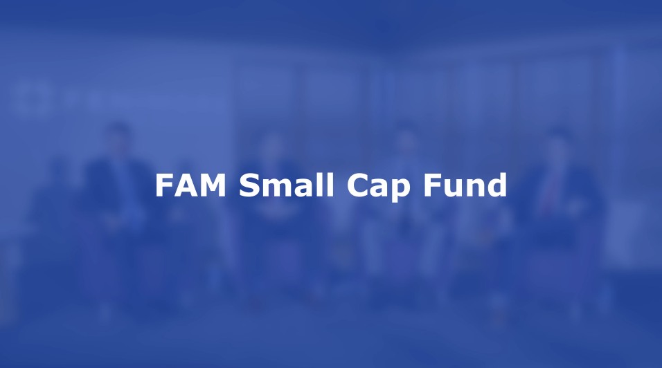 Drew Wilson, FAM Small Cap Fund