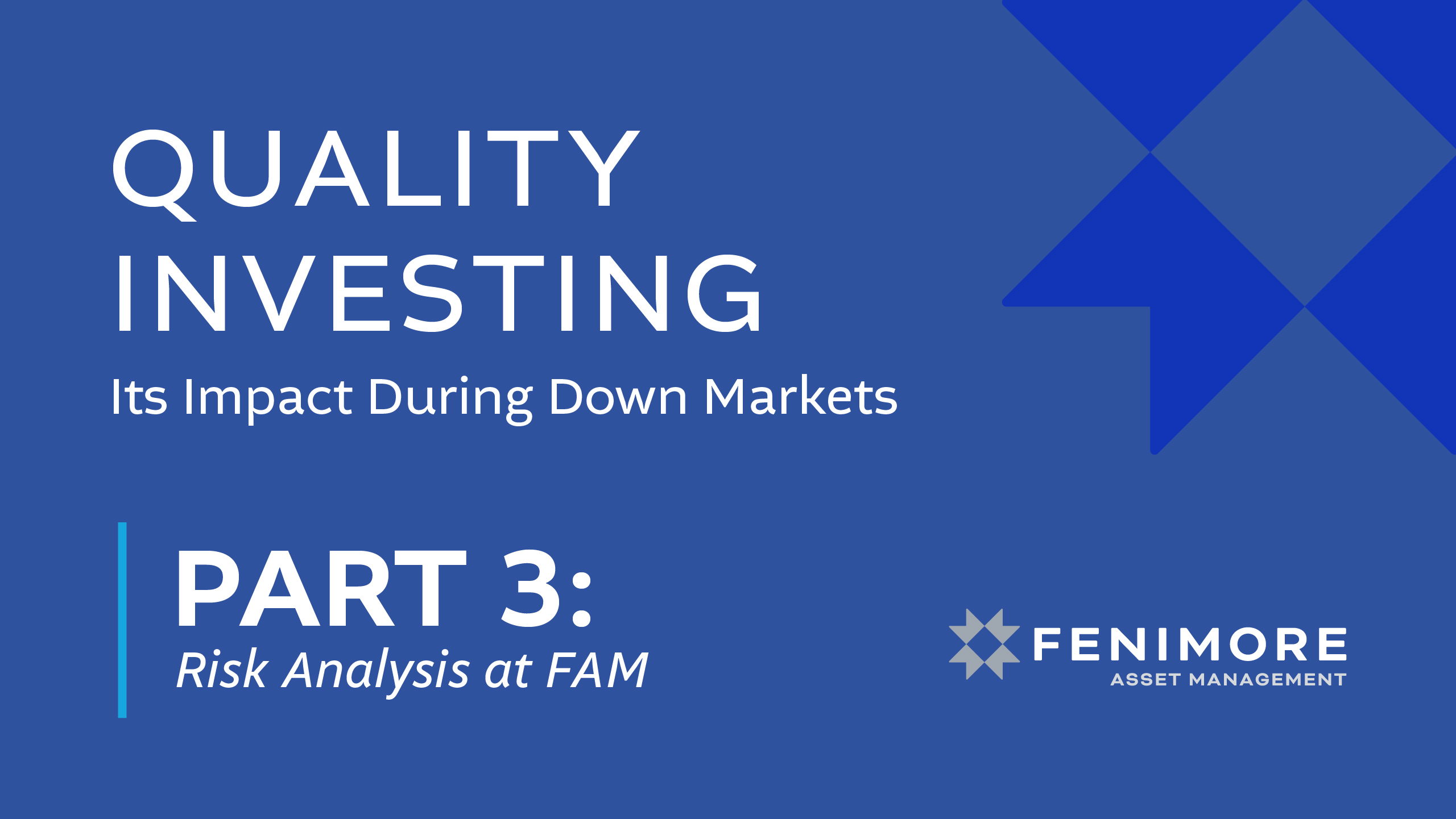 Quality Investing Part 3: Risk Analysis at FAM